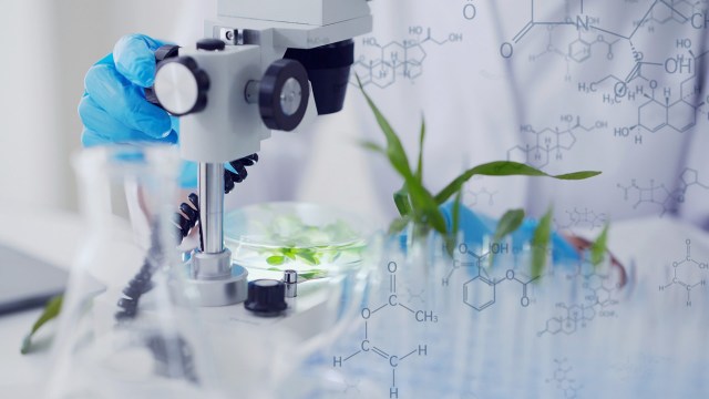"We can enhance not only widely recognized crops but also bring underutilized species into the agricultural mainstream."