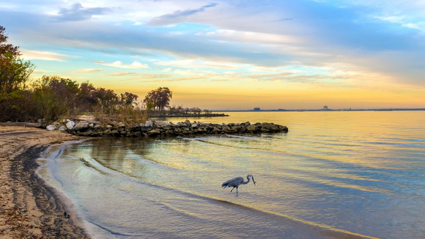 "We can preserve our wildlife, waters, and lands."