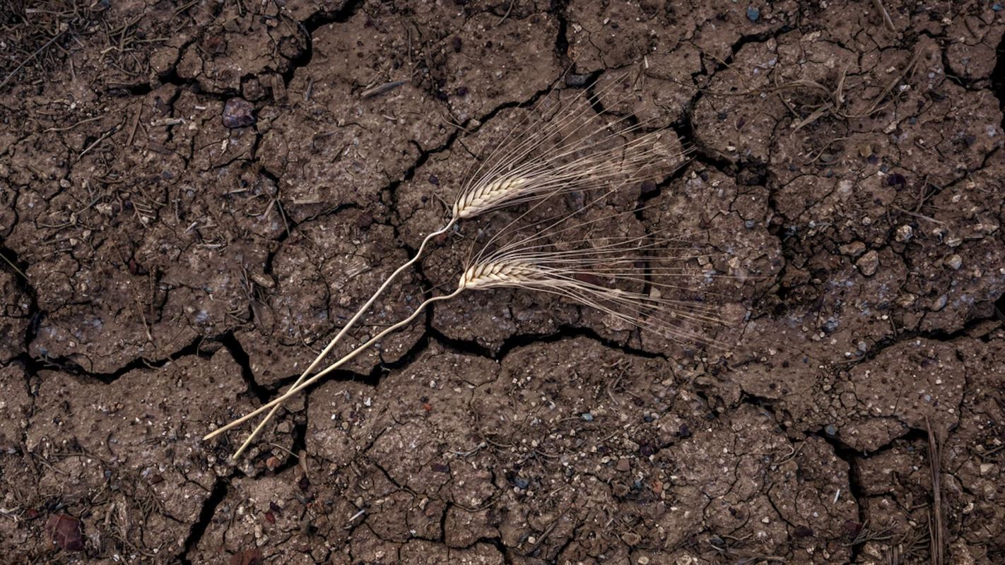 This may be a canary in the coal mine, a harbinger of what could be coming globally.
