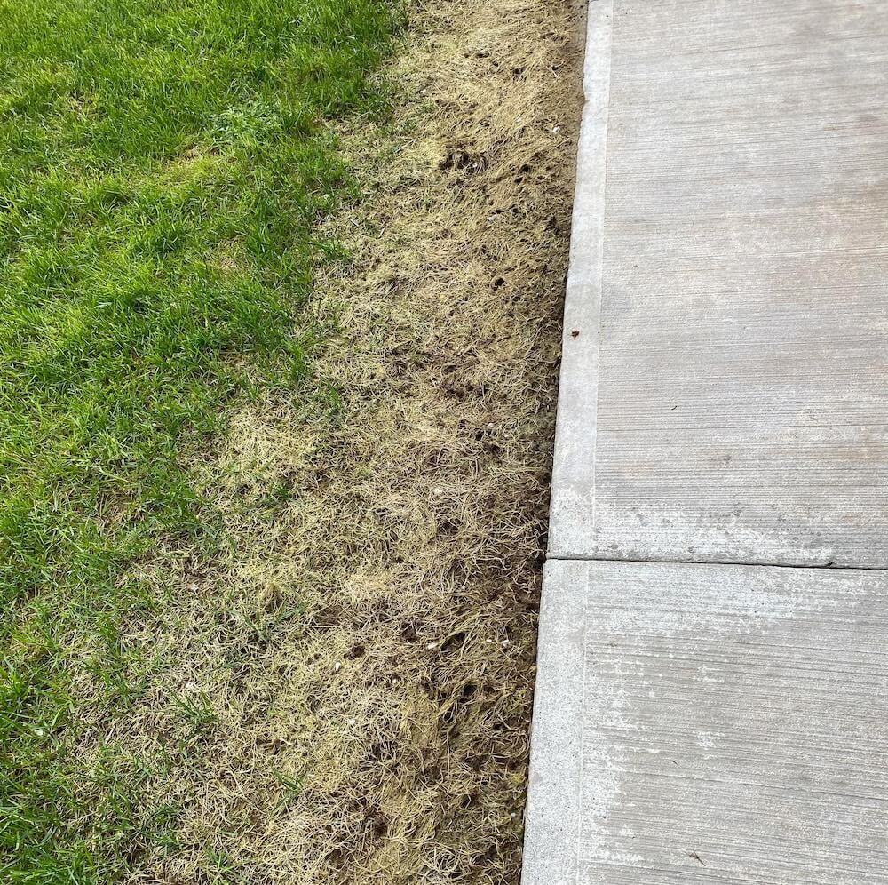 "Grass is outdated."