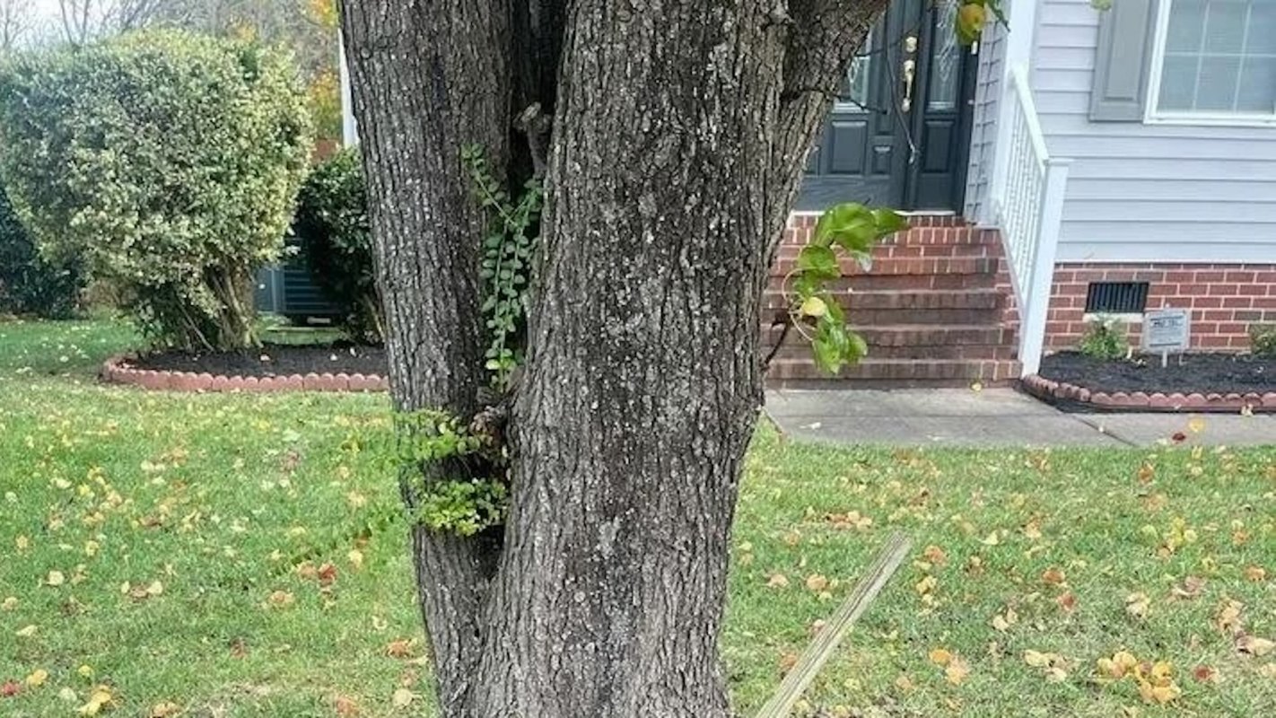 "I live on a corner lot, zero wind protection, in a high wind area. My mulch stays put."