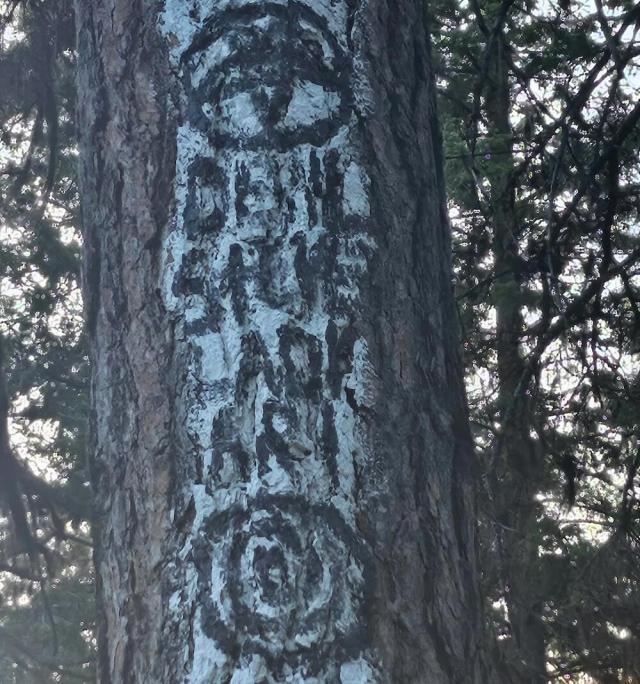 The OP wasn't just concerned about their neighbor's disrespectful behavior.