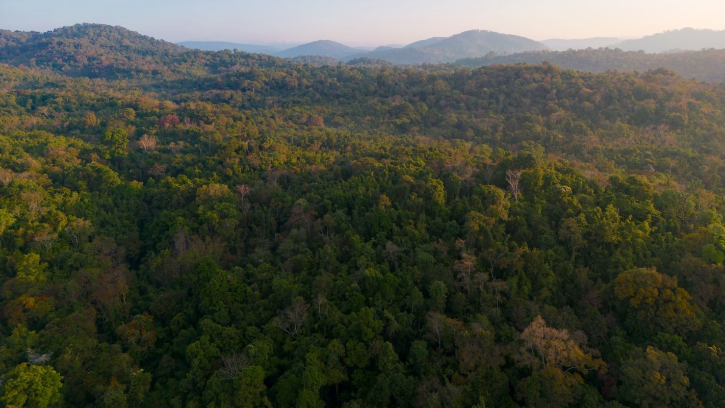 The discovery highlights the park's vital role.