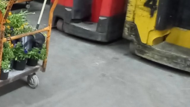 "Maybe I’m expecting too much from this company."
