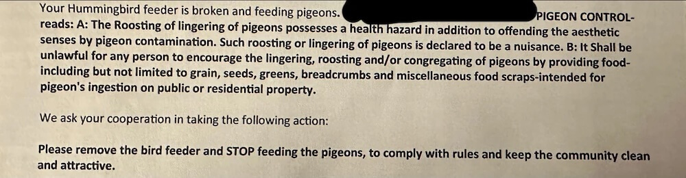 "On behalf of pigeons everywhere, I'm filing a discrimination suit!"