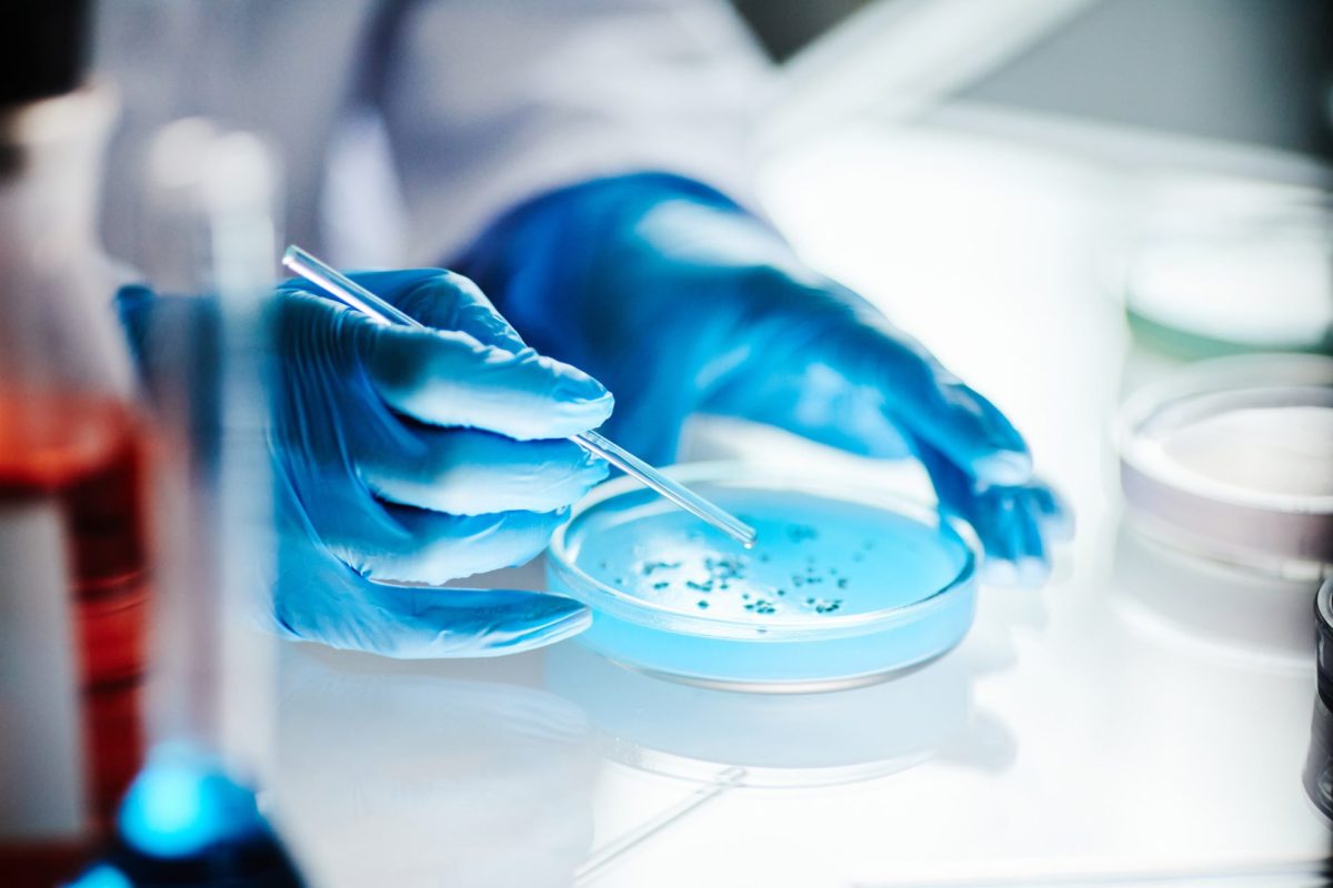 "If bacteria survive in a harsh, polluted environment, it’s probably because they have adapted."