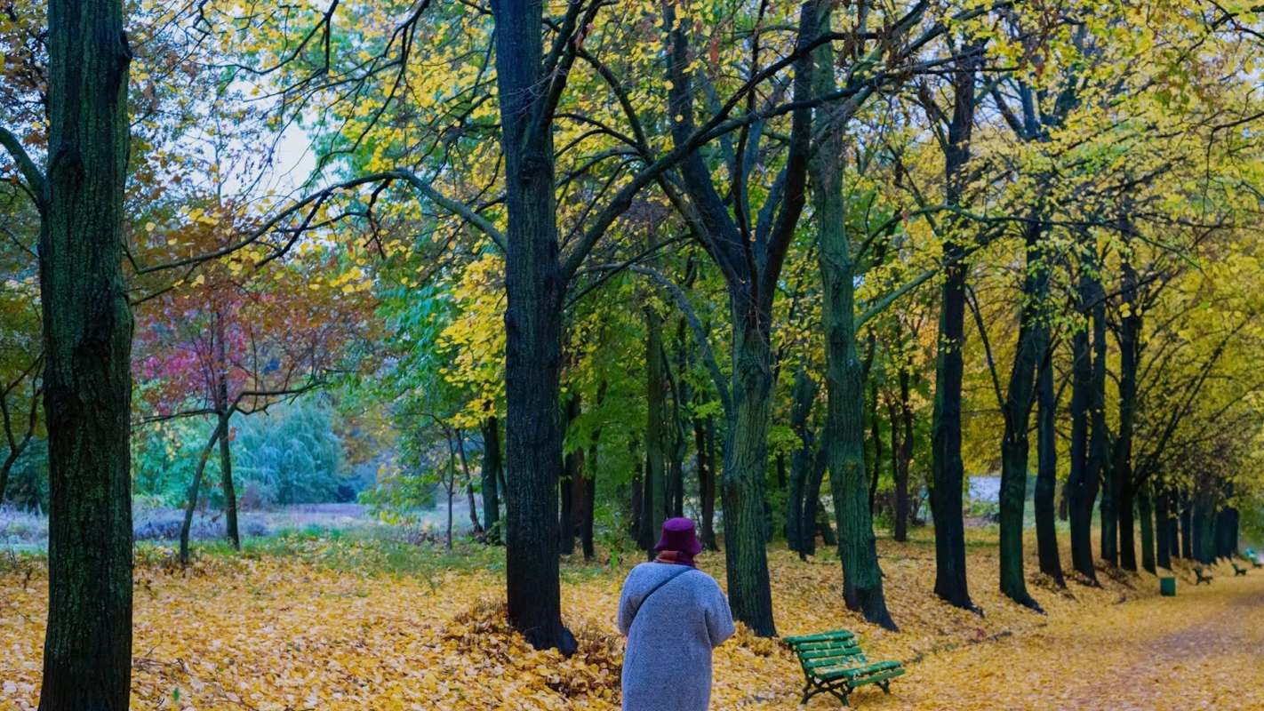 The World Health Organization explains that drastic changes to ecosystems will have negative impacts on income, livelihoods, and local migration.
