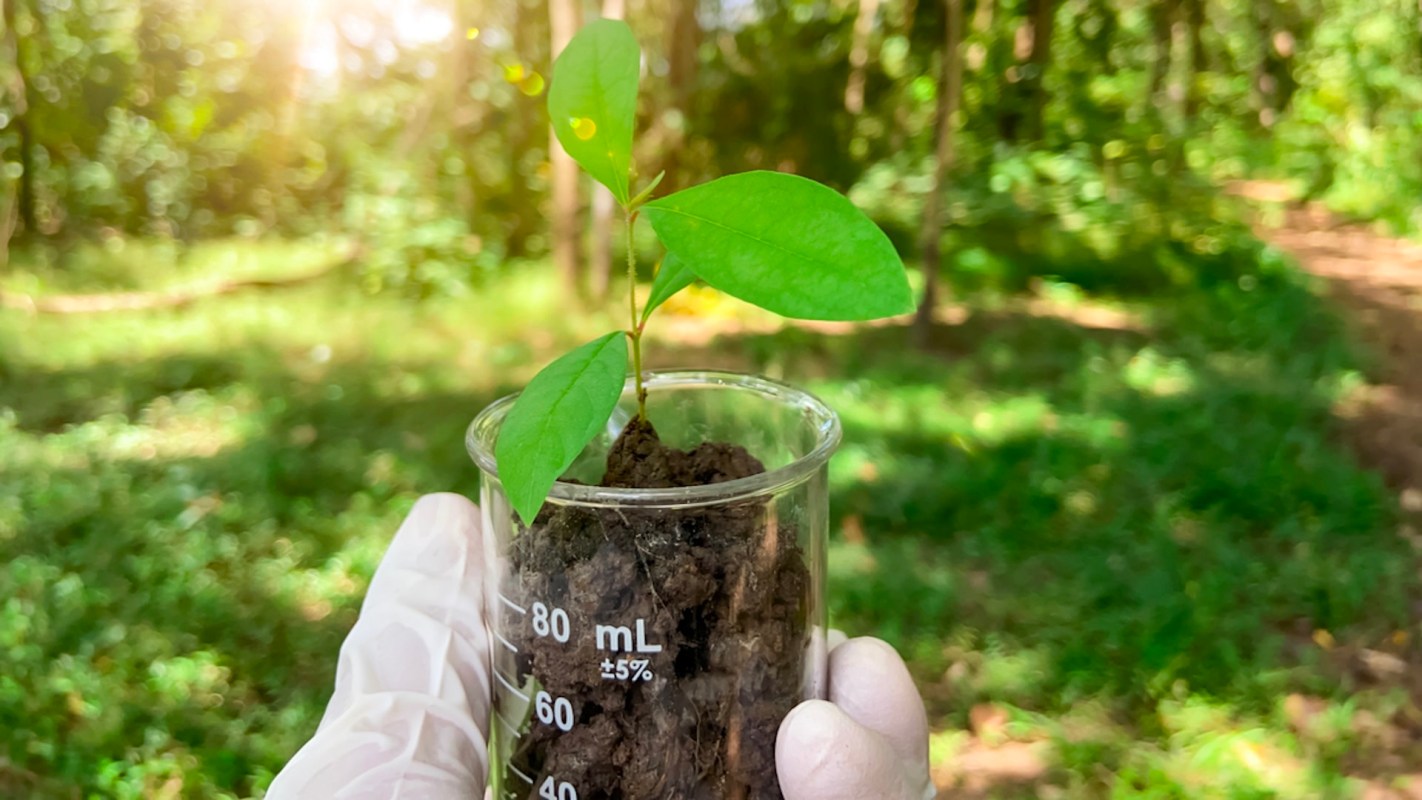 This breakthrough is being called “one of the most promising discoveries to date."