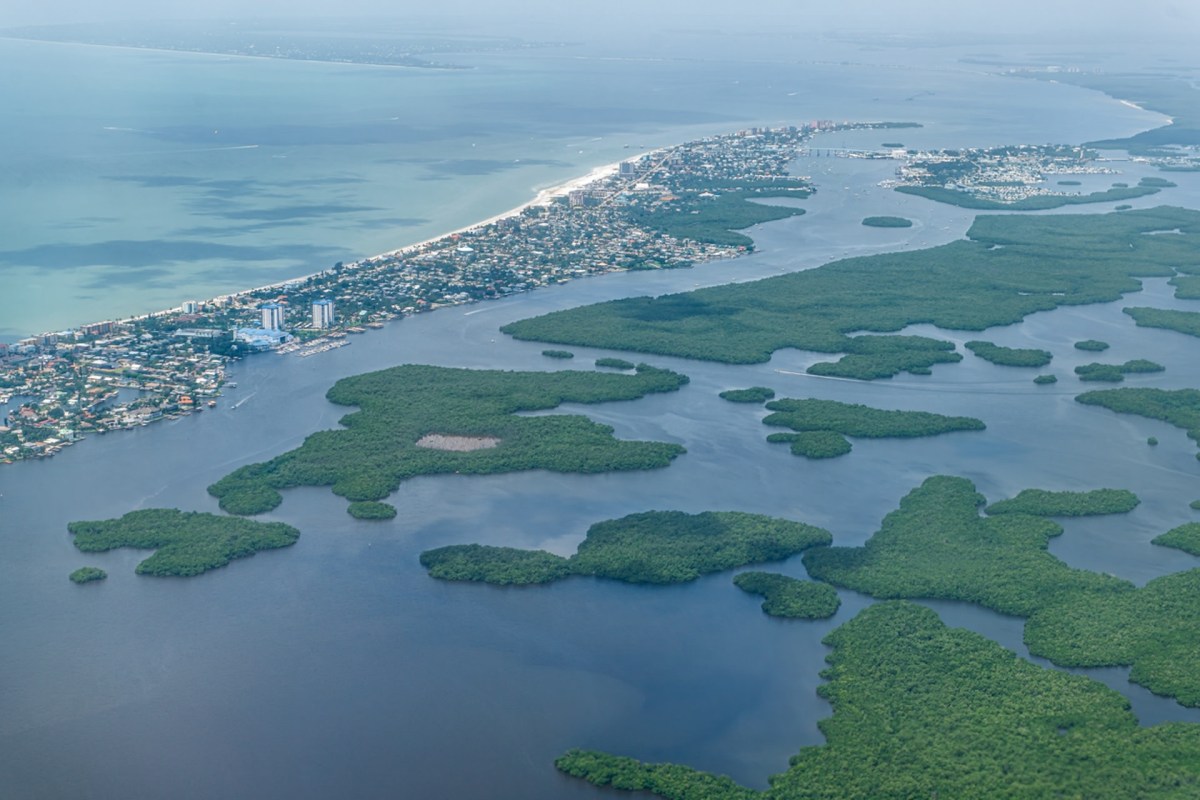 This discovery could mean a lot for Florida, which has nearly 75% of its population residing in coastal counties.