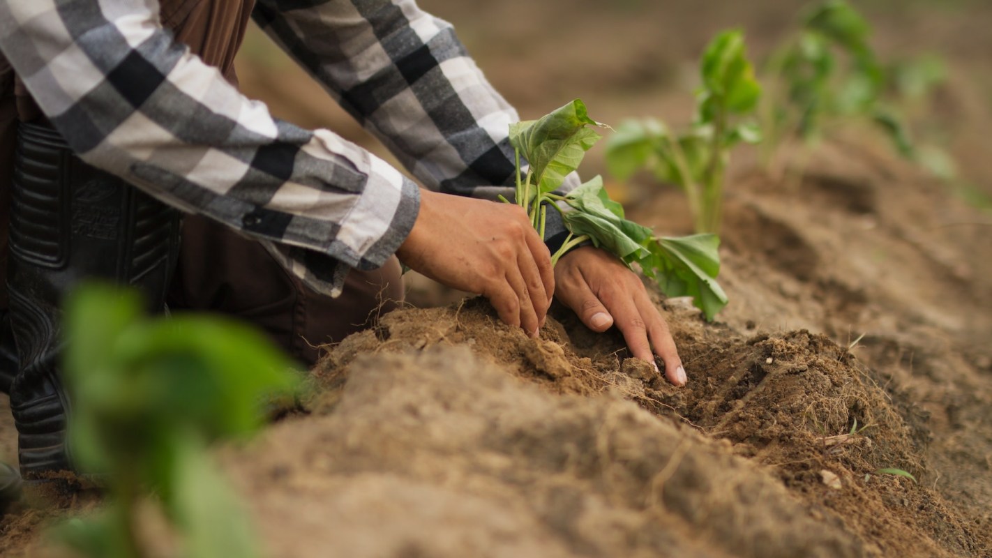 Research such as this is vital in preparing the world to be resilient to a changing climate.