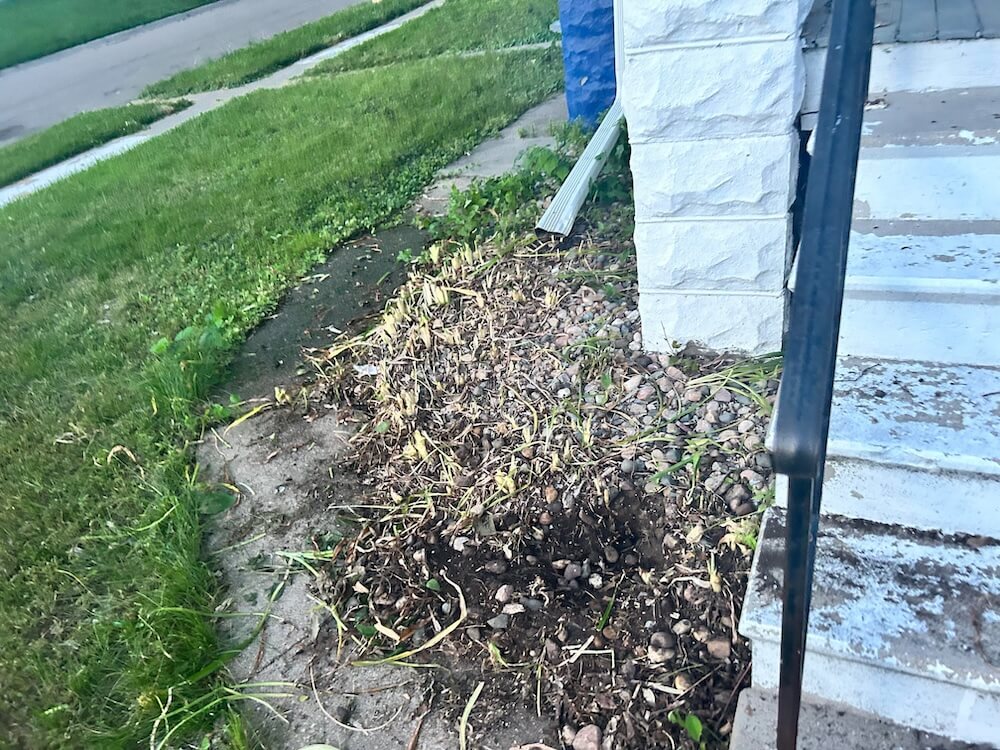 "This is after 2 rounds of cutting and 1 round of digging."