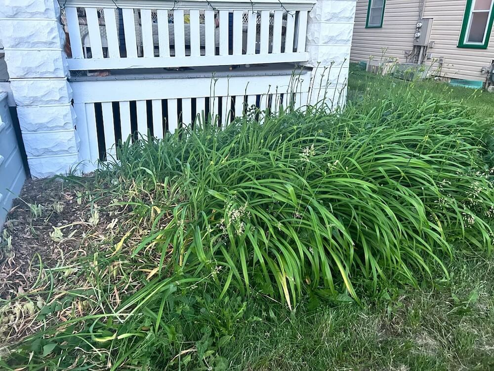 "This is after 2 rounds of cutting and 1 round of digging."