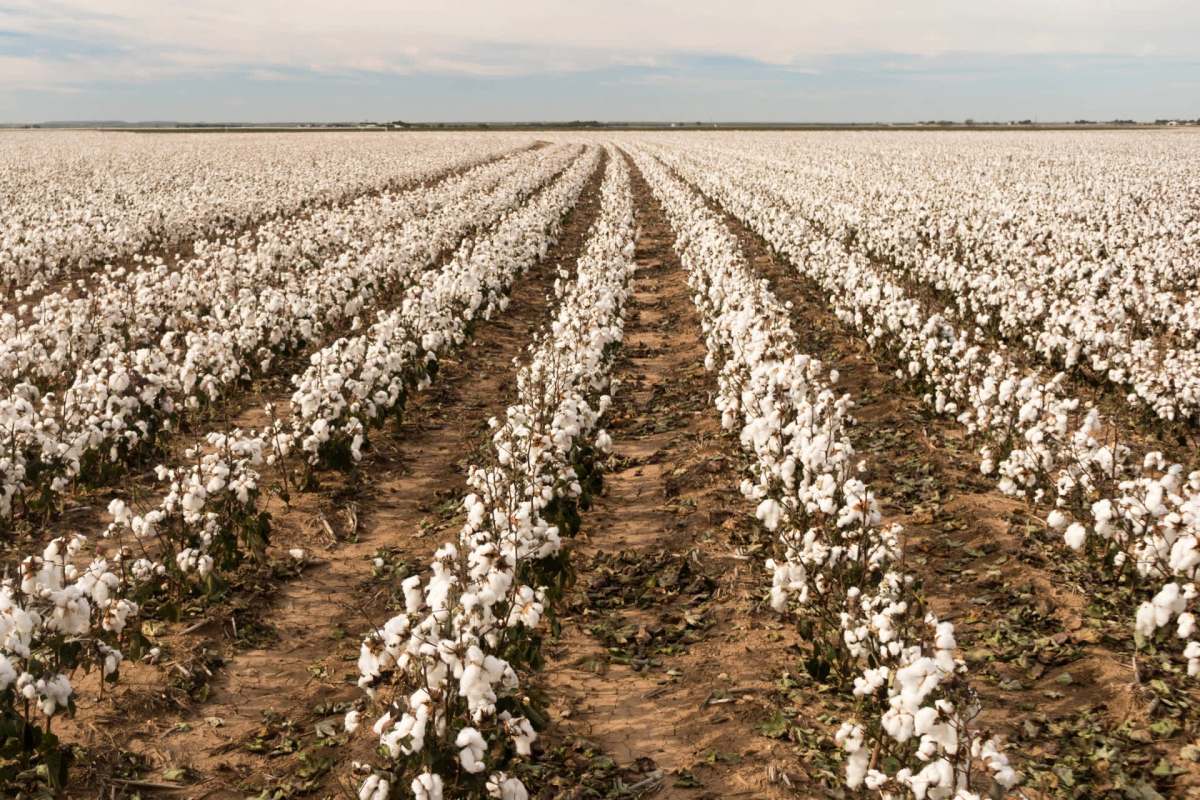 "What used to be a luxury is now a necessity for modern farming."