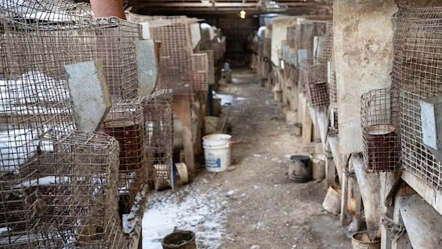 "Our team is exposed to immense cruelty in the criminal cases we regularly respond to."