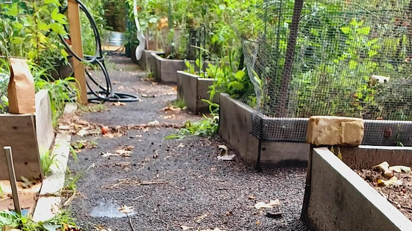 The summer rain had a devastating effect.