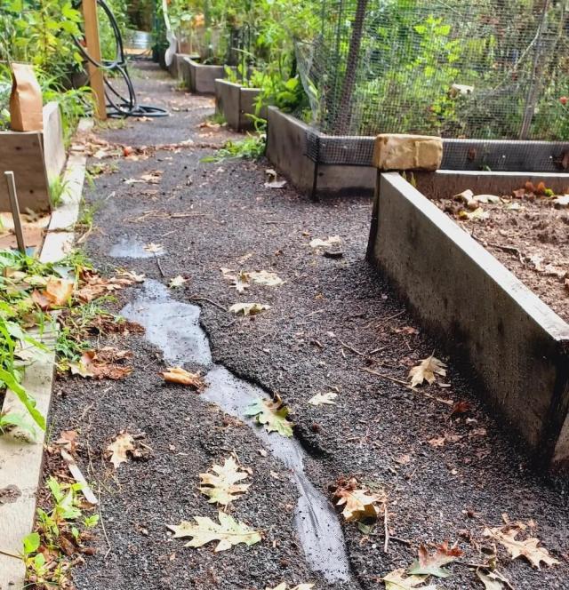 The summer rain had a devastating effect.