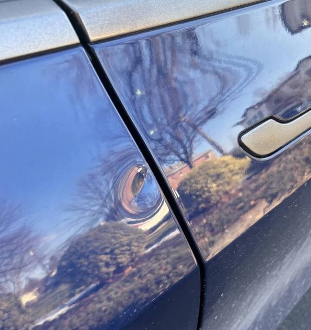 "Checked my footage and have a video of the perpetrator and a license plate thanks to Sentry."