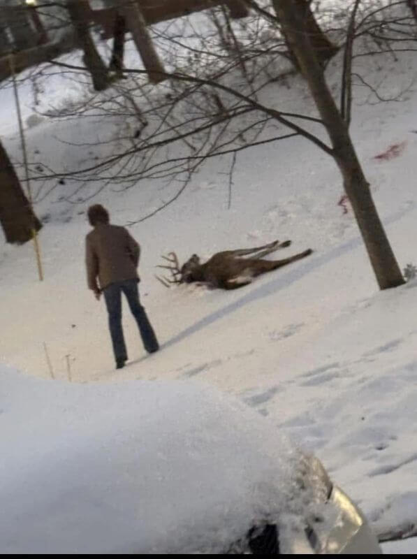 "This person going hunting in the zoo next?"