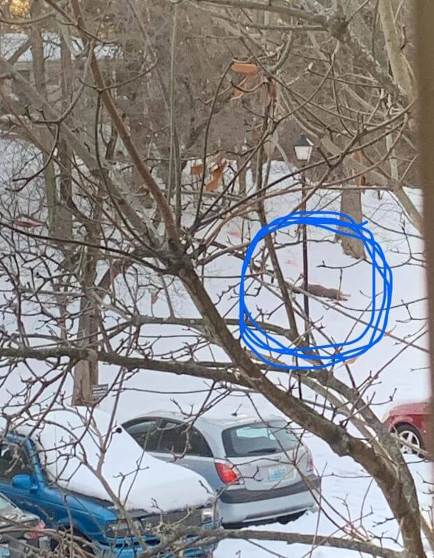 "This person going hunting in the zoo next?"