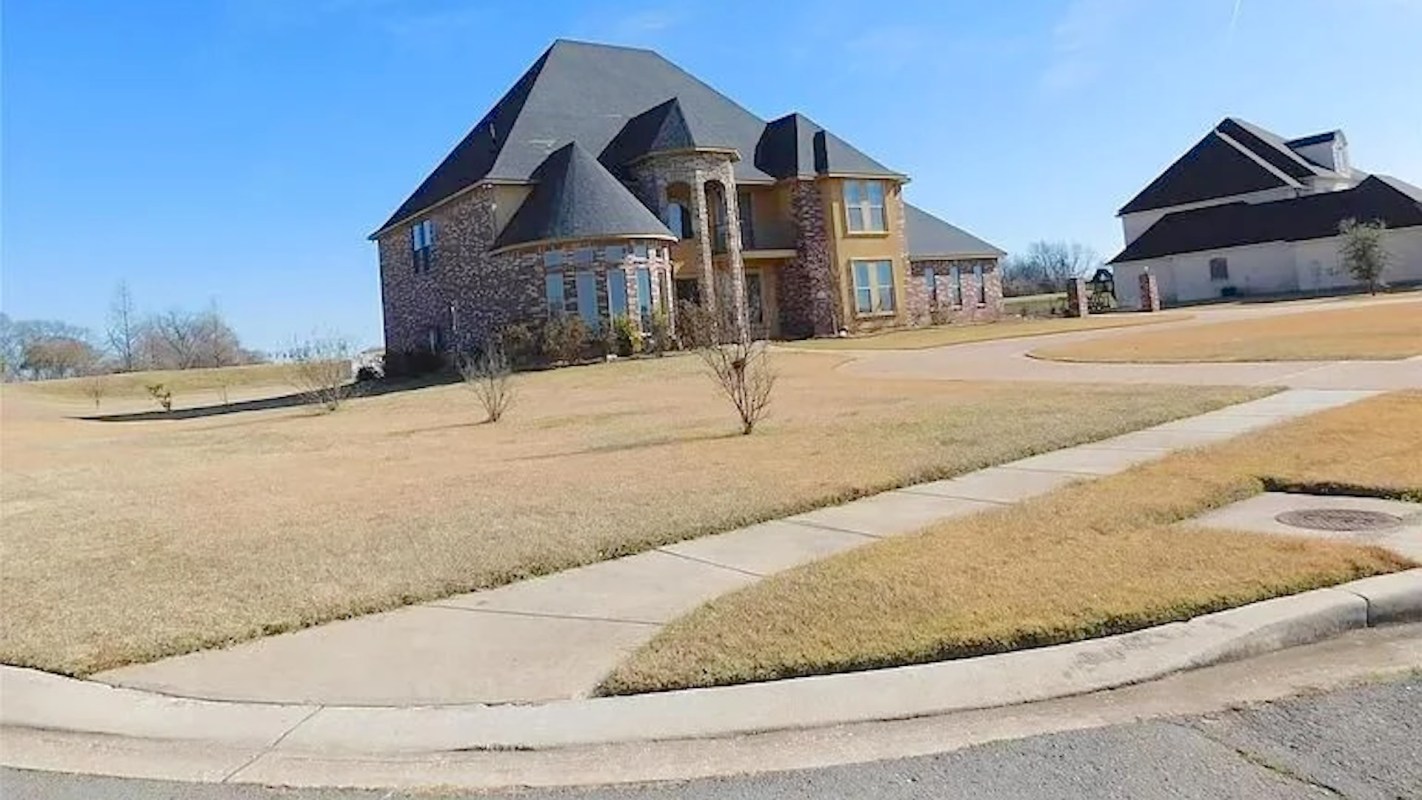 “Over 20 years treeless and dank.”