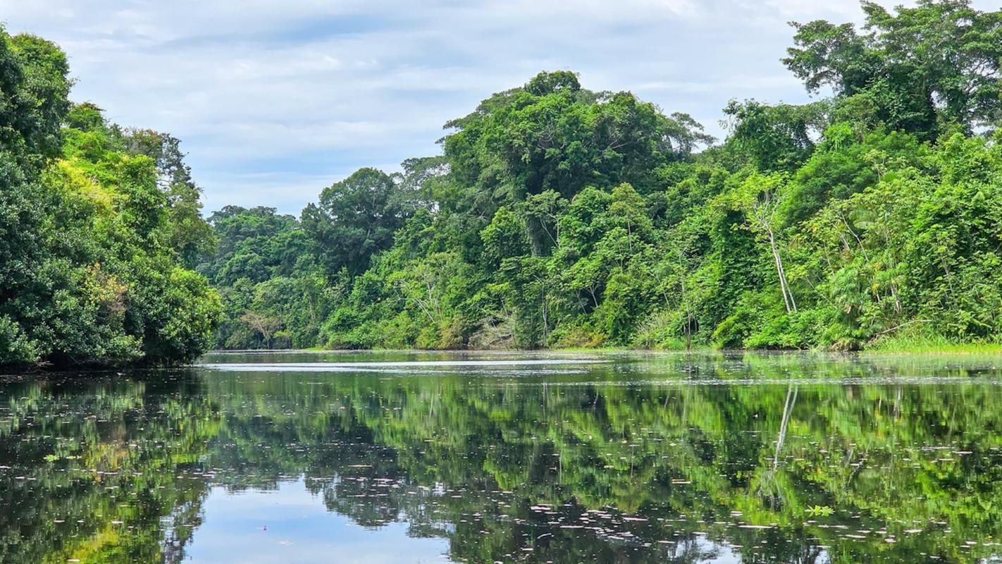 "This Reserve is one of the most important places."