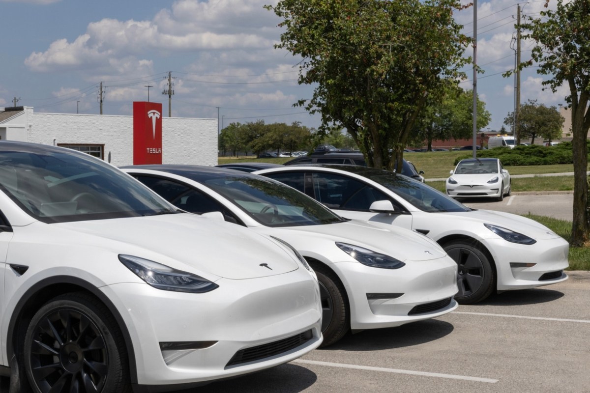 Clean energy giant Tesla has reaped most of the market share.