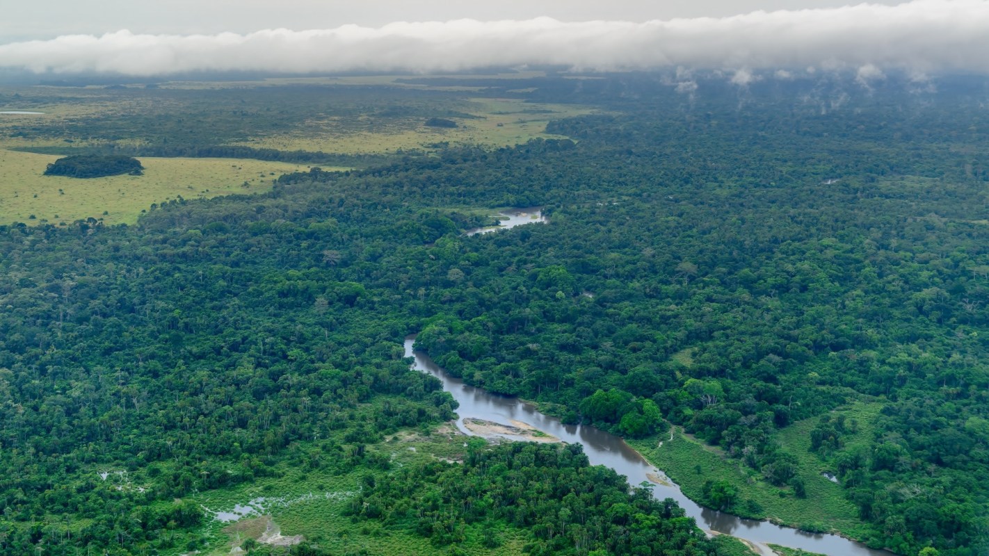 This initiative provides economic opportunities while preserving natural resources for generations to come.