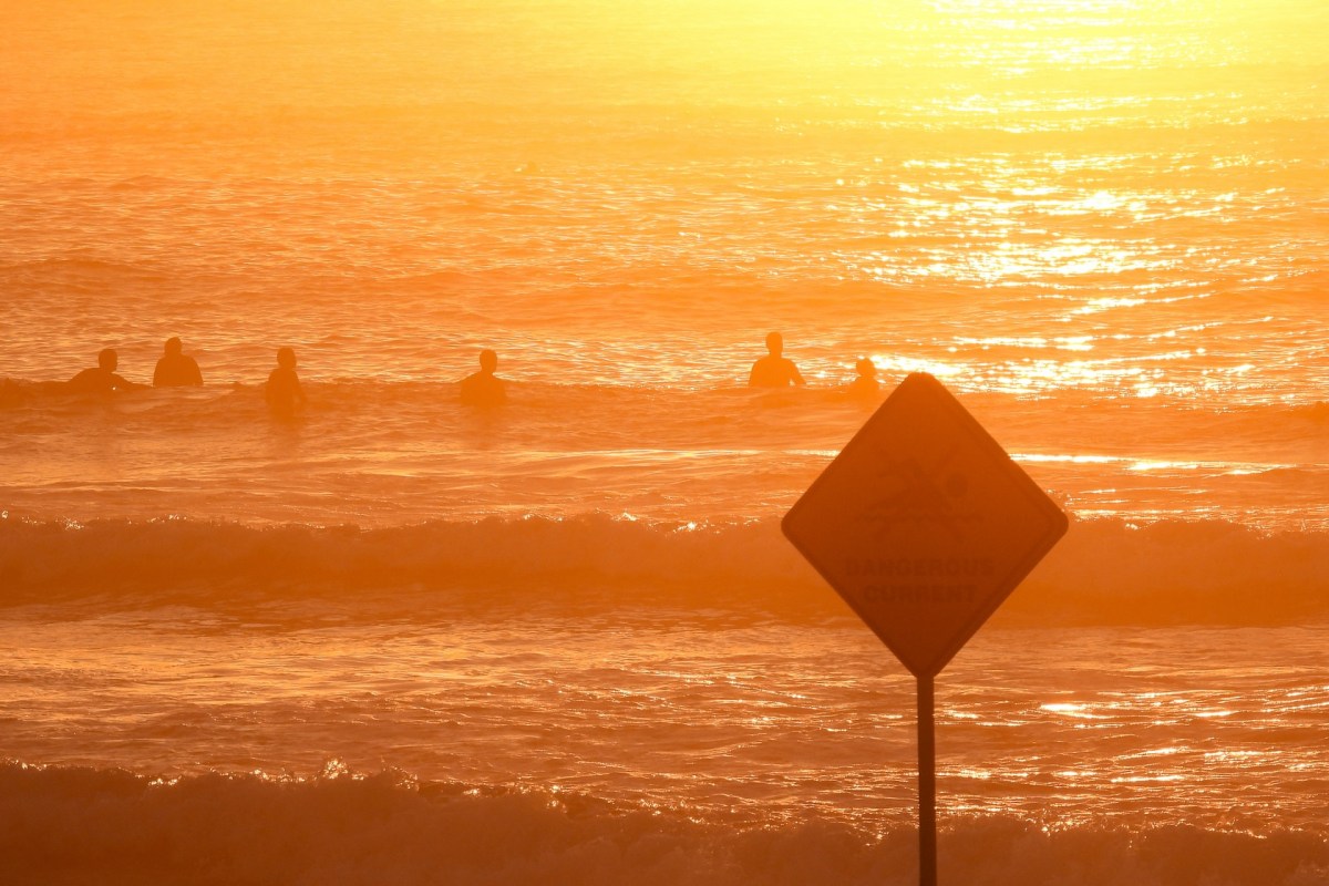 "To know what is happening ... the answer is in the ocean."