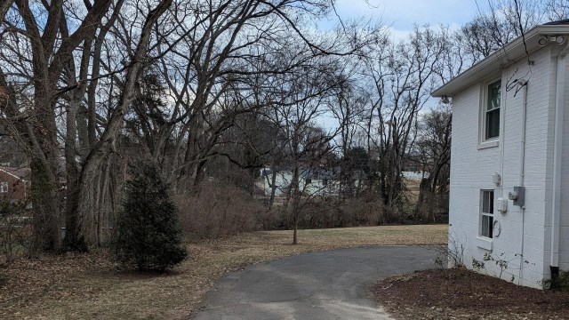 It is all around the back boundary of the property.