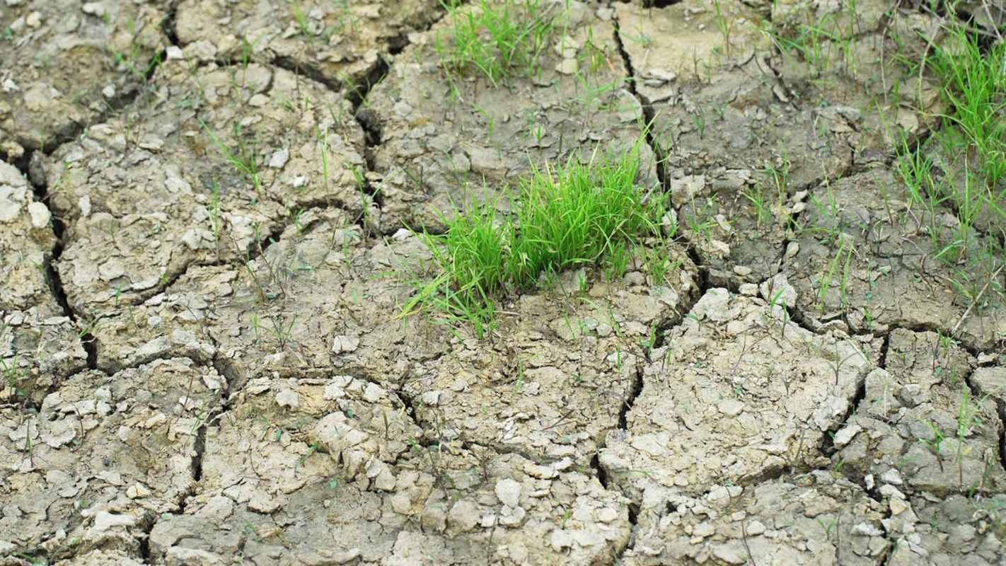 "You may be hearing the term megadrought more frequently in the future."
