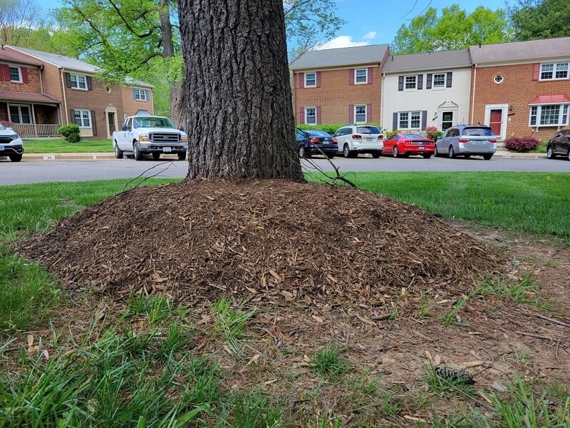 "It doesn't hurt to tell the HOA it's a problem."