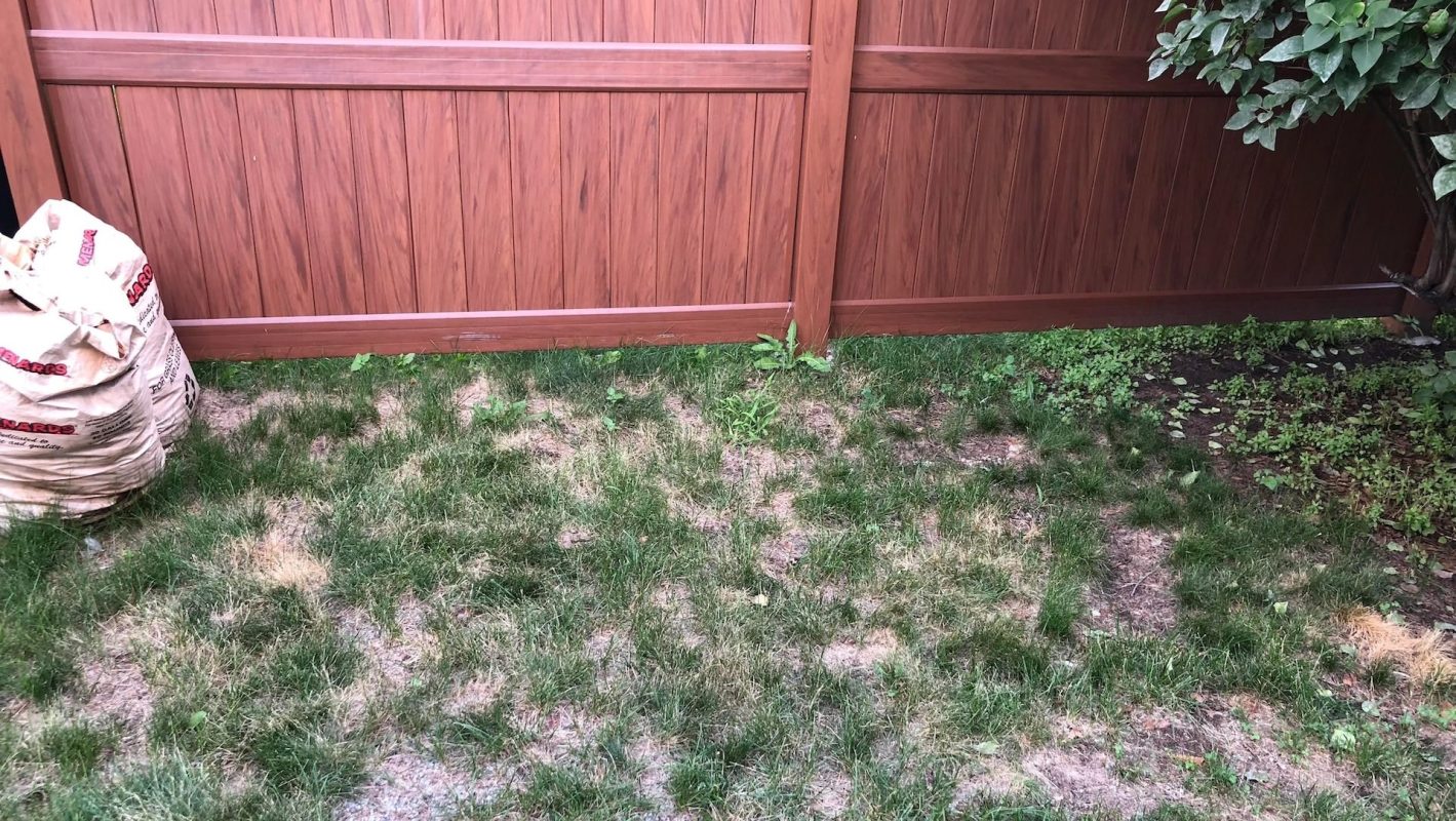 "Looks great."