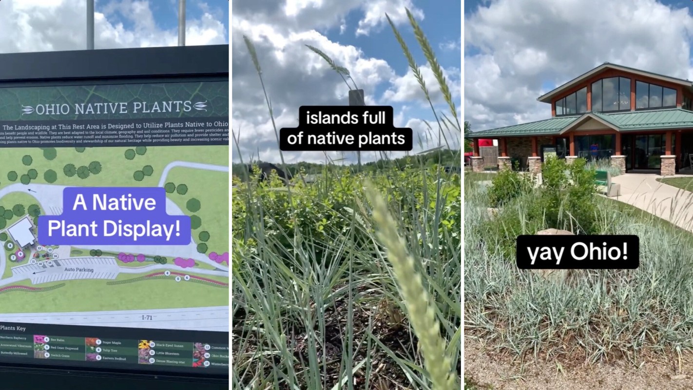 One visitor to Ohio stumbled across a humble but beautiful example of gardening in action.