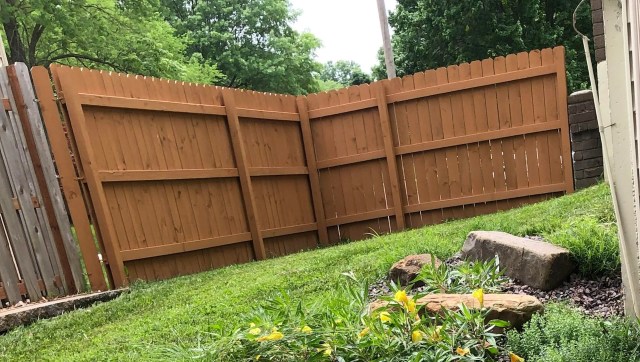 Some people just have a green thumb.