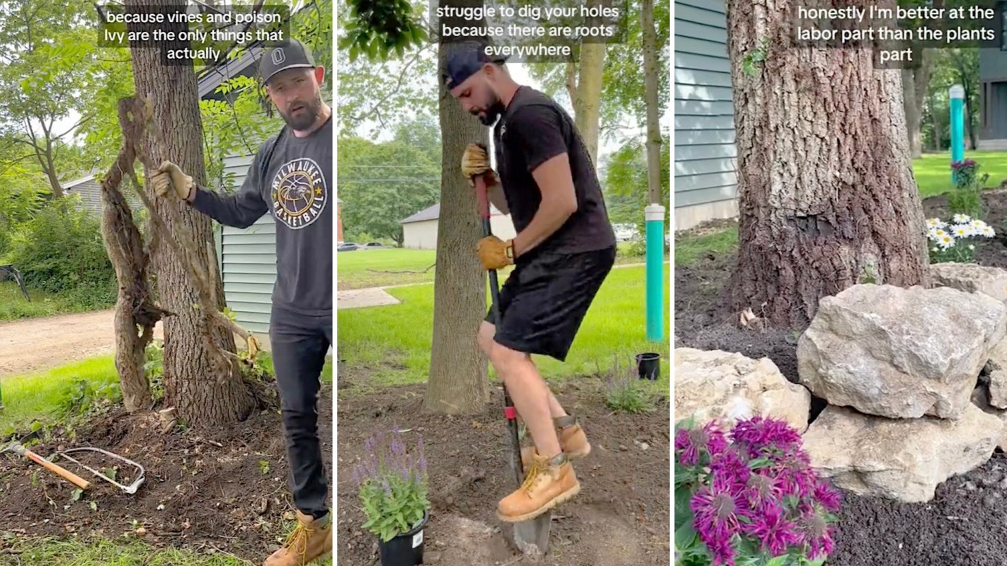 TikToker Josh Tomey (@joshtomey) took us on a journey of saving his tree from vines and poison ivy with little more than a pickaxe, a hacksaw, a shovel, and some gumption.