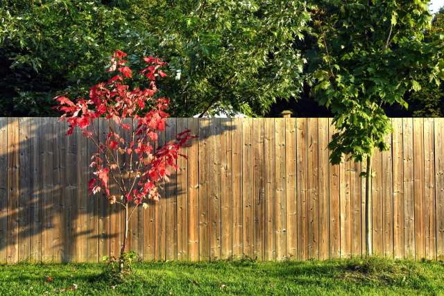 Those repeated “no”s apparently weren’t enough for this neighbor.