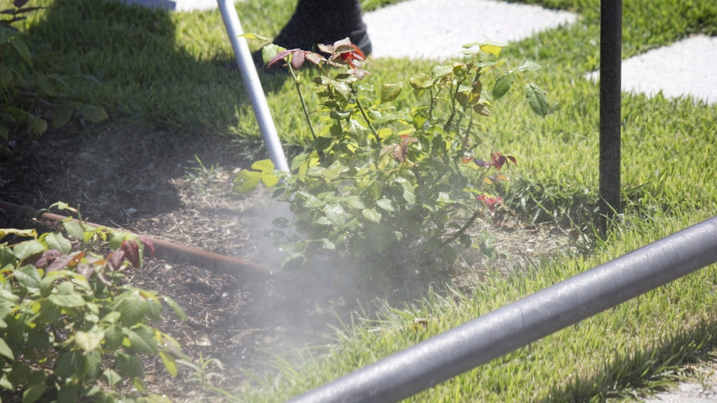 "I would honestly be uncomfortable eating produce from your yard knowing that, no offense."
