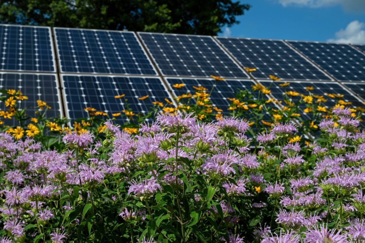 This breakthrough is more than just a lab success – it’s a step towards making organic solar panels a viable mainstream energy source.