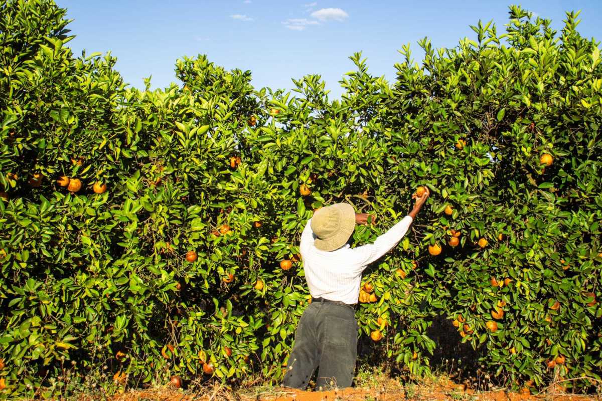 "It shows how the effects of climate change are affecting health and nutrition."