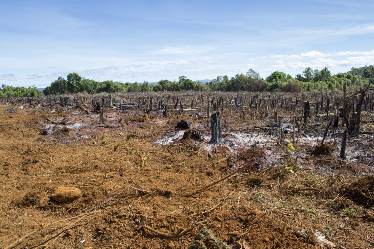 "We always knew that for re.green to reach the size it wants, we would have to partner with landowners."