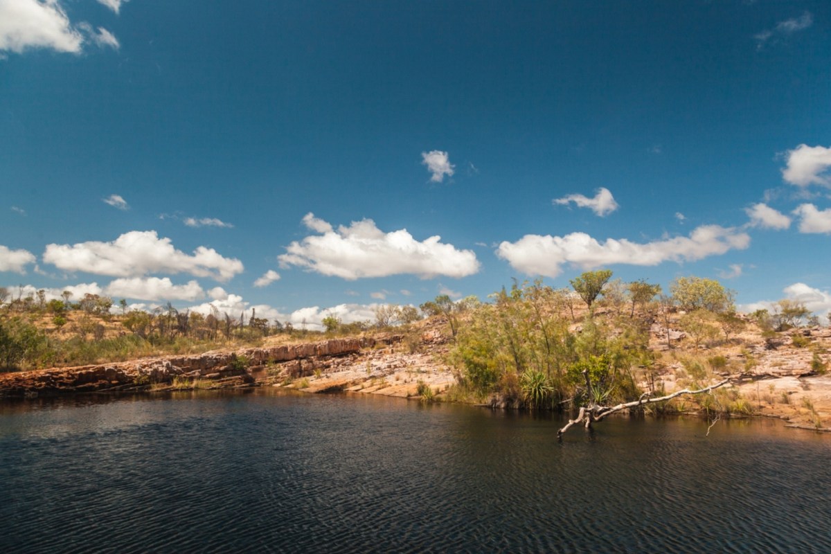 They transport critical nutrients across ecosystems as they go.