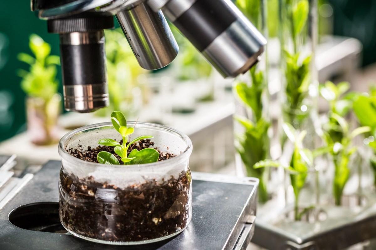 "It contributes to the productivity and sustainability of agriculture."