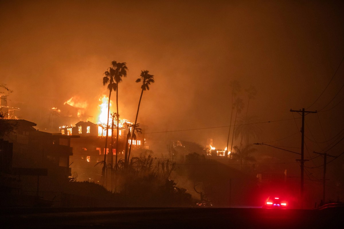 When wildfires burn, it's not just homes and forests at risk.