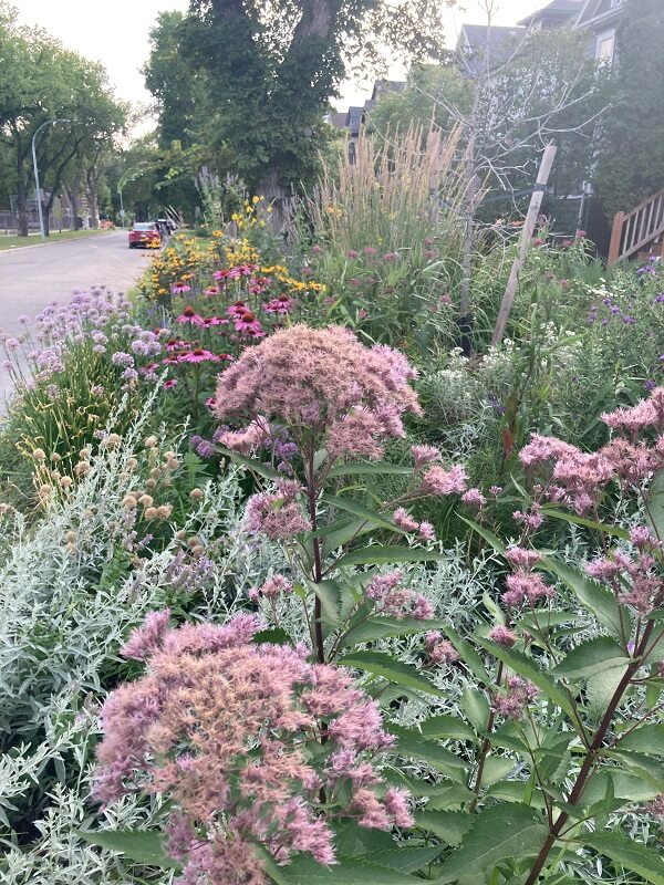"We had so many bees and butterflies."
