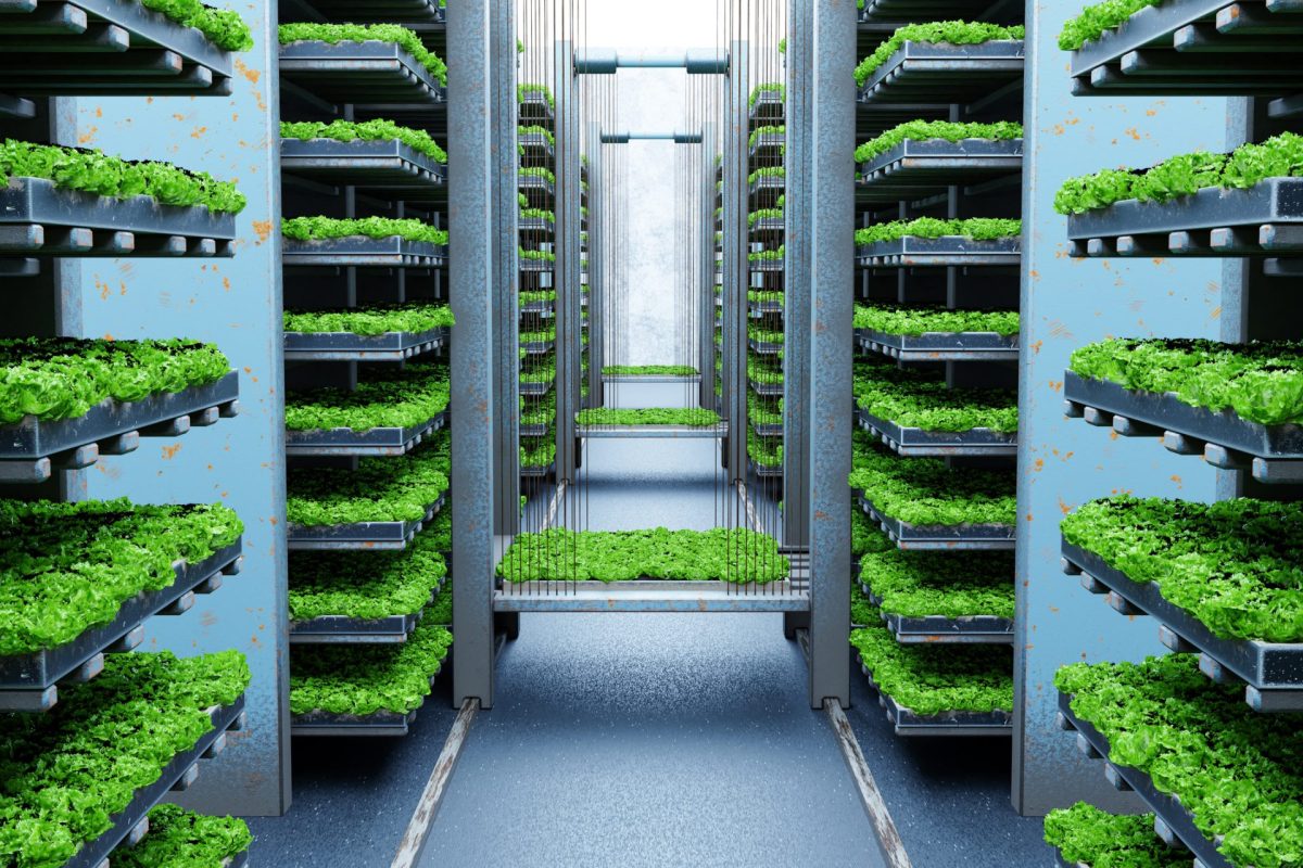 Population growth will bring with it an increasing strain on our food supply.