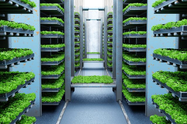 Population growth will bring with it an increasing strain on our food supply.