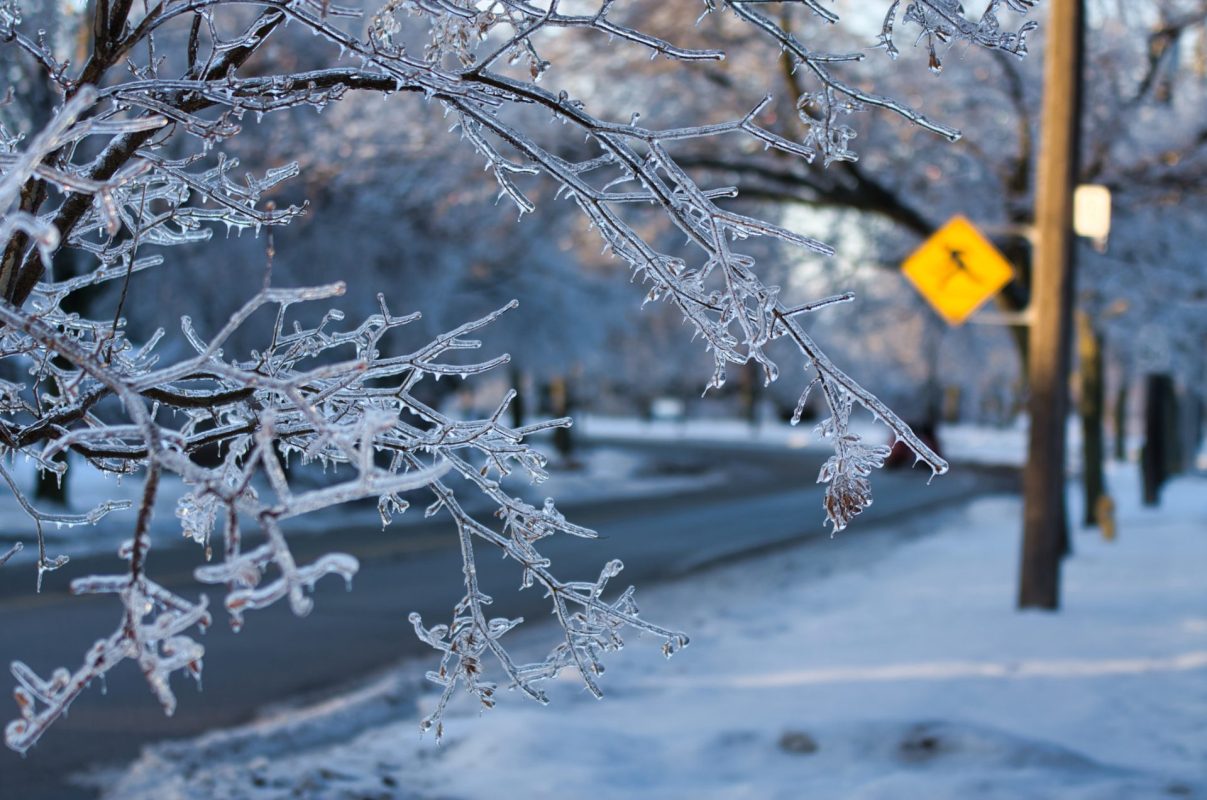 Rising winter temperatures pose a number of risks, including more extreme weather.