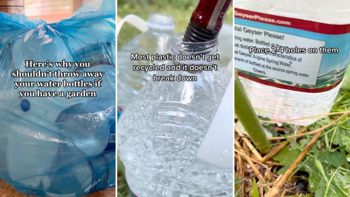 While cutting back your garden water usage may feel like a proverbial drop in the bucket, it can really add up.