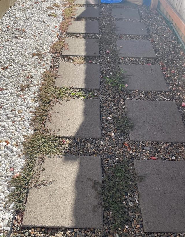 "I hate to spend my day pulling these out just for them to return a month later."