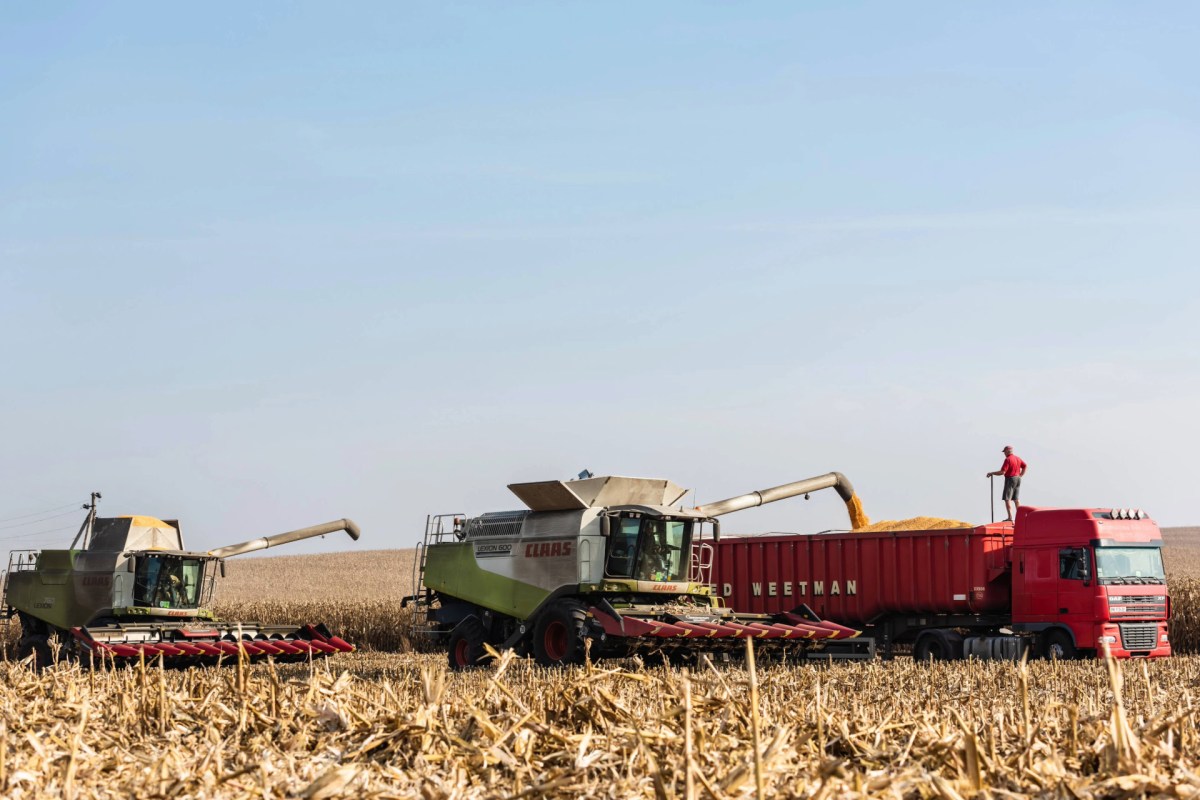 This will be the seventh consecutive year that yields have been at risk.